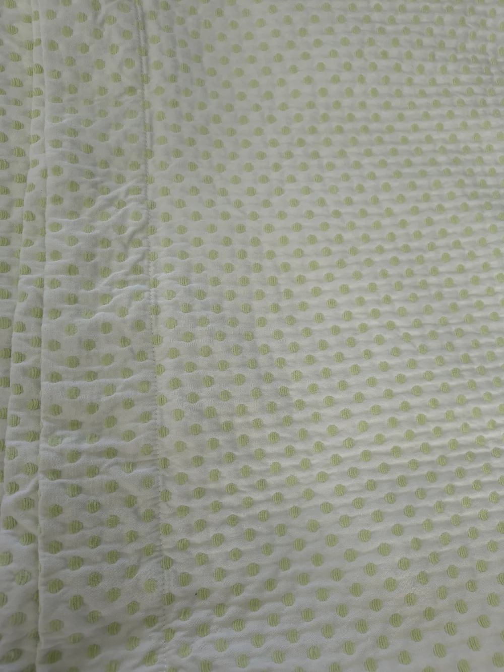 Pottery Barn Kids Audrey Chenille Dot Curtain Panels Green Set of 2